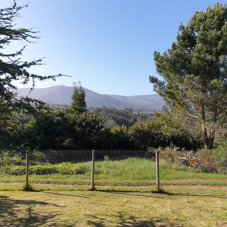 Elephant Country Guest House The Crags Екстер'єр фото