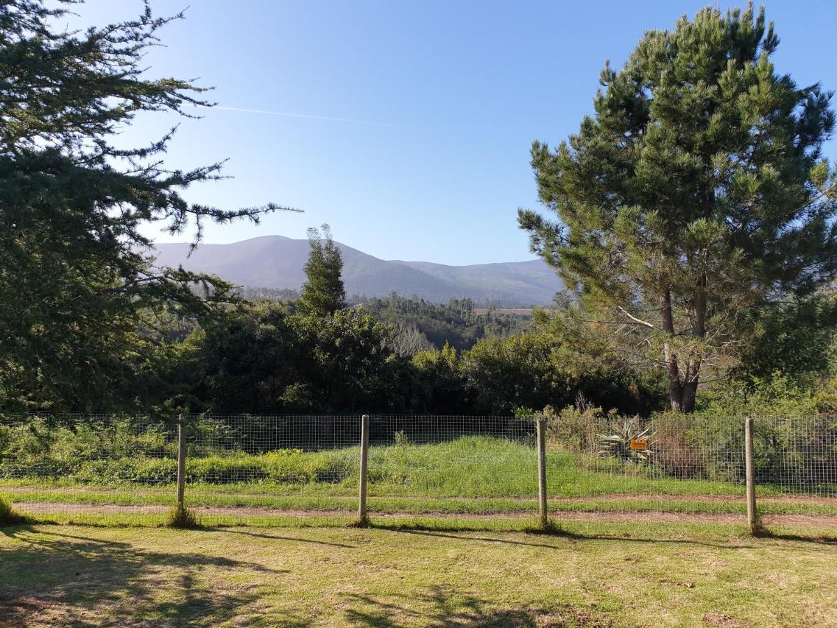Elephant Country Guest House The Crags Екстер'єр фото
